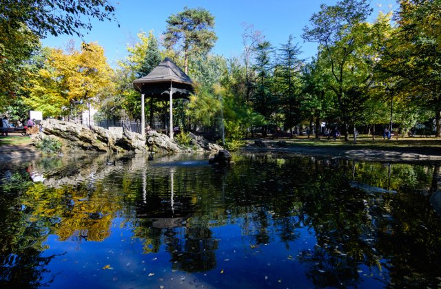 Radu Tudor a publicat imagini cu șobolani care &icirc;noată &icirc;n lacurile din București