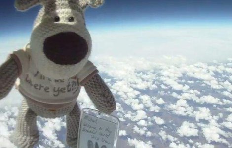 Primul ANIMAL DE PLUS care a ajuns in spatiu