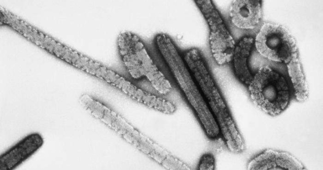 Virus neidentificat in Romania: un copil a murit