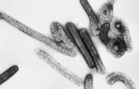 Virus neidentificat in Romania: un copil a murit, altul este in stare grava
