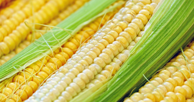  Top  Sursă bogată de vitamine și fibre! Beneficiile porumbului fiert