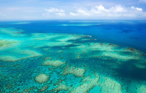 Marea Barieră de Corali este în pericol din cauza schimbărilor climatice