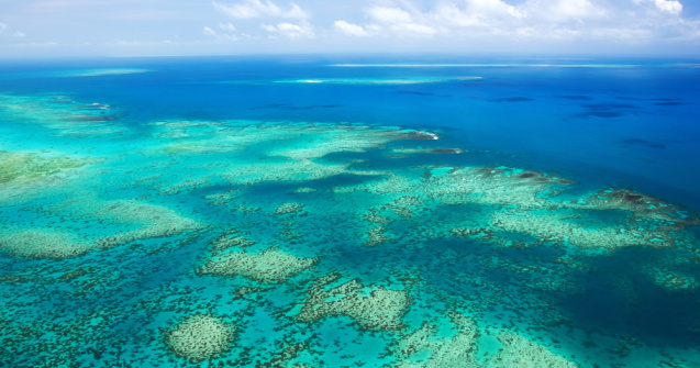 Marea Barieră de Corali este în pericol din cauza schimbărilor climatice