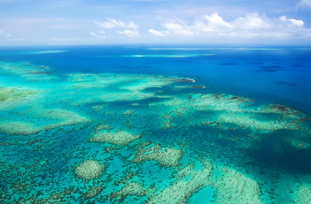 Marea Barieră de Corali este în pericol din cauza schimbărilor climatice. Ce spun reprezentanţii UNESCO
