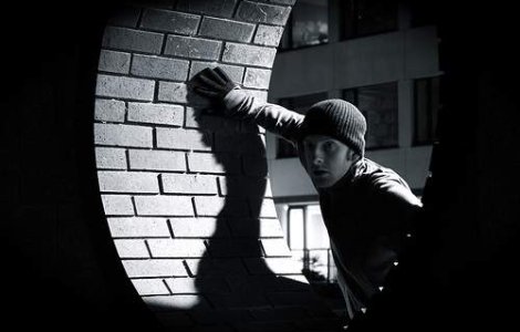 Romanii, criminalii de top ai Europei?