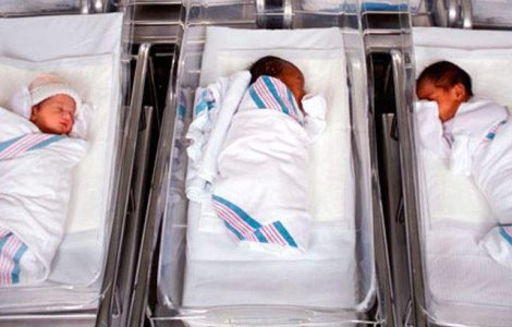 Premiera: O maternitate a fost inchisa pentru malp