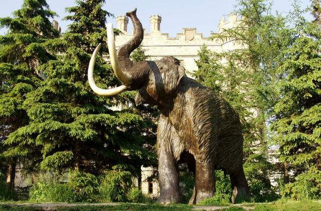 Genetica a confirmat impactul avut de clima asupra mamutilor