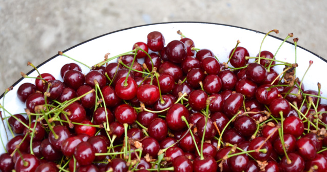  Top  Gust dulce acrișor: 4 beneficii ale consumului de vișine asupra organismului tău