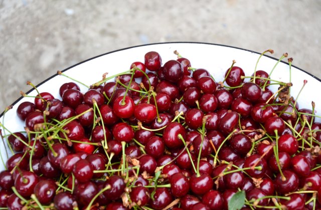 Gust dulce acrișor: 4 beneficii ale consumului de vișine asupra organismului tău