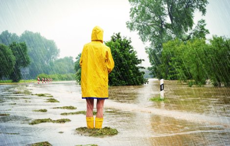 Ploile au făcut ravagii! 500 de hectare de teren agricol, inundate în Tulcea