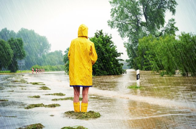 Ploile au făcut ravagii! 500 de hectare de teren agricol, inundate în Tulcea