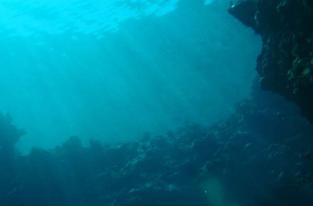 Jumatate din viata de pe Terra, ingropata sub pamant sau apa