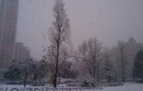 Parti din Europa, ingropate in nameti