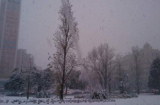 Parti din Europa, ingropate in nameti