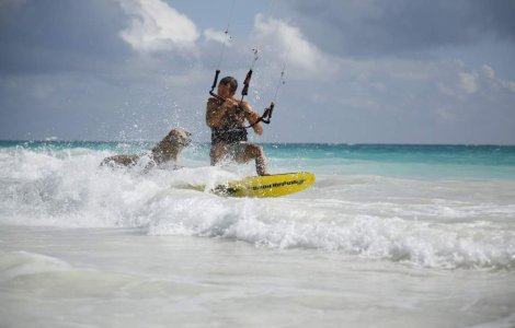  Top  TOP 10 : Asa caine, asa stapan!