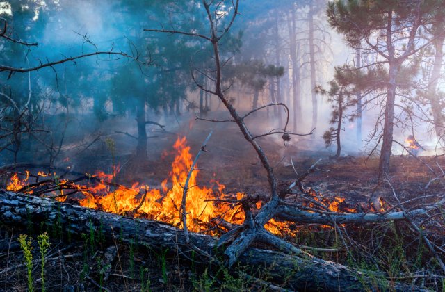 Temperaturile record provoacă incendii uriașe în estul Siberiei