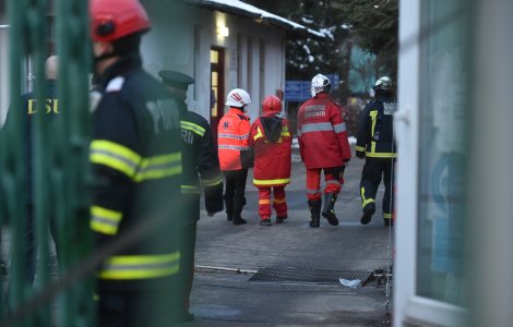 Pompierii din Cluj au refuzat să salveze o pisică. „Nu au vrut să intervină”