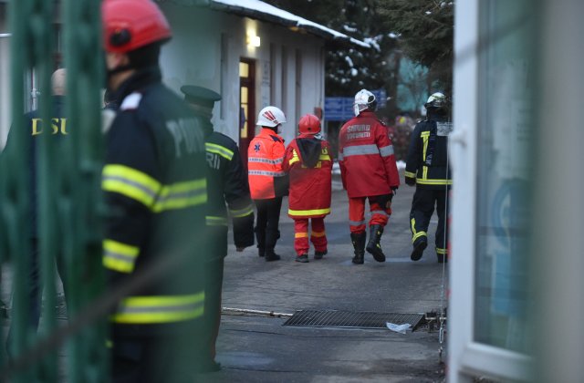 Pompierii din Cluj au refuzat să salveze o pisică. &bdquo;Nu au vrut să intervină&rdquo;
