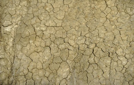 AVERTIZARE ANM: Alerte de instabilitate atmosferică și de caniculă în 33 de județe, până joi