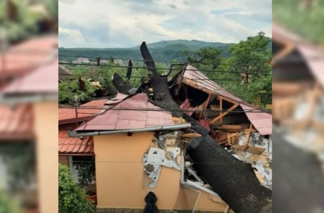 Vremea extremelor; caniculă și vijelii în același timp. Un arbore uriaș s-a prăbușit peste o casă și a rupt-o în două