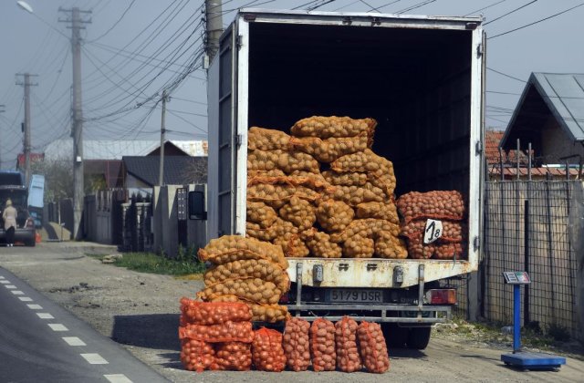 Paradox de Rom&acirc;nia. Cartofii s-au ieftinit, dar sunt mai scumpi. Cum e posibil