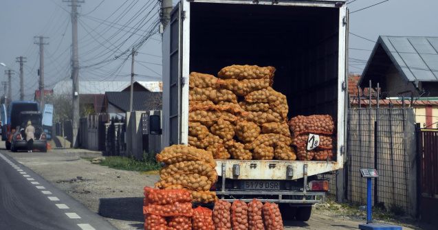 Paradox de România. Cartofii s-au ieftinit, dar sunt mai scumpi. Cum e posibil