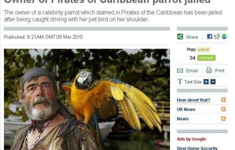 Stapanul papagalul din Piratii din Caraibe a fost arestat