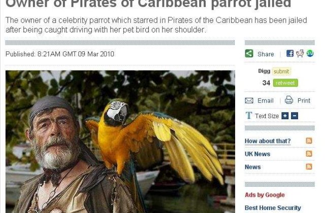 Stapanul papagalul din Piratii din Caraibe a fost arestat