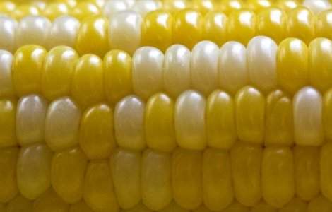 O chinezoaica a supravietuit 15 zile intr-un put abandonat