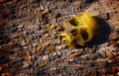 Groapa comuna in care erau inhumati fosti detinuti politici, identificata la Periprava