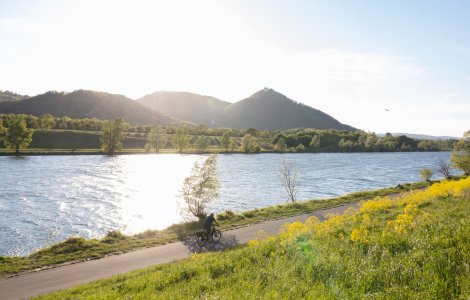 O mașină cu trei bărbați a căzut în Dunăre. În ce stare sunt victimele