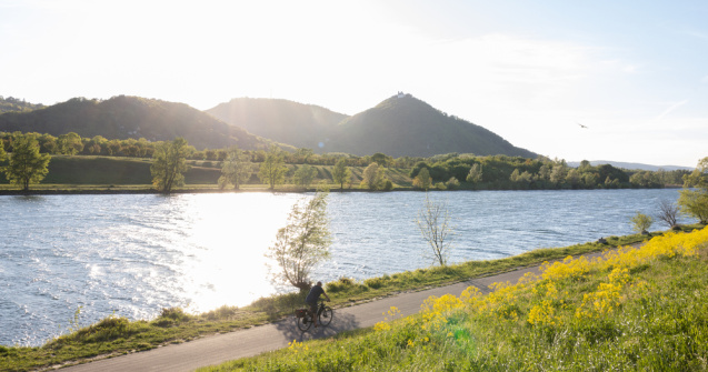 O mașină cu trei bărbați a căzut în Dunăre. În ce stare sunt victimele