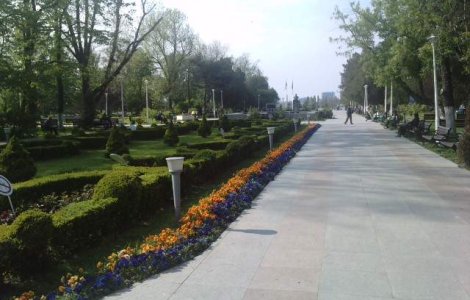 Martor in cazul copilului ucis de caini: "Bunica fuma si bea bere"