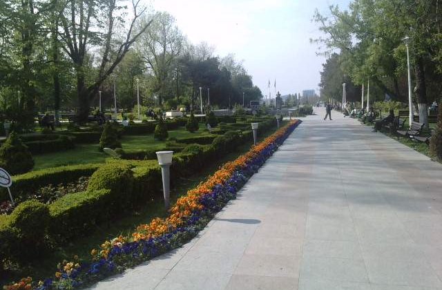 Martor in cazul copilului ucis de caini: "Bunica fuma si bea bere"