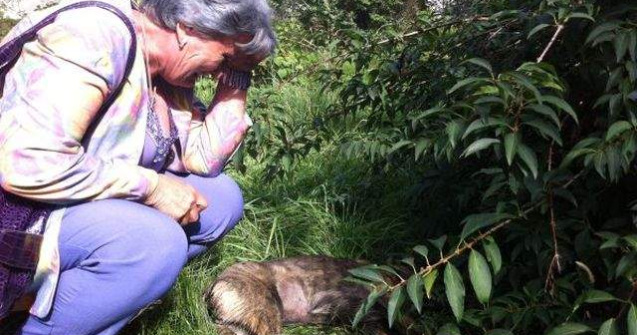 Tragedie in Ploiesti! Cine poate fi asa barbar?