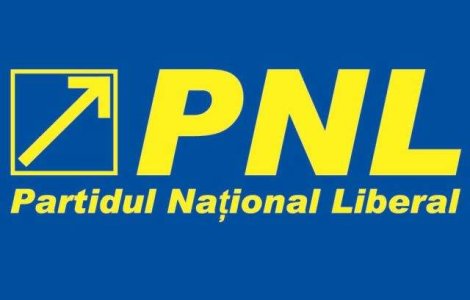 PNL: Traian Basescu incearca sa saboteze reforma constitutionala