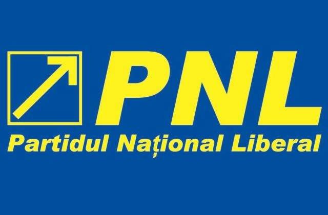 PNL: Traian Basescu incearca sa saboteze reforma constitutionala