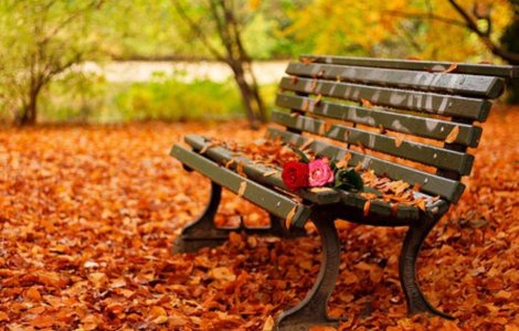 Prognoza meteo pentru urmatoarele doua saptamani: Final calduros de septembrie