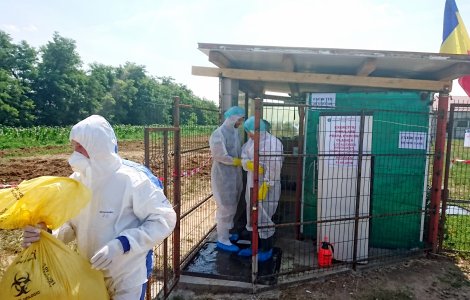 Focar de pestă porcină într-o localitate din Sibiu. Animalele infectate au fost ucise