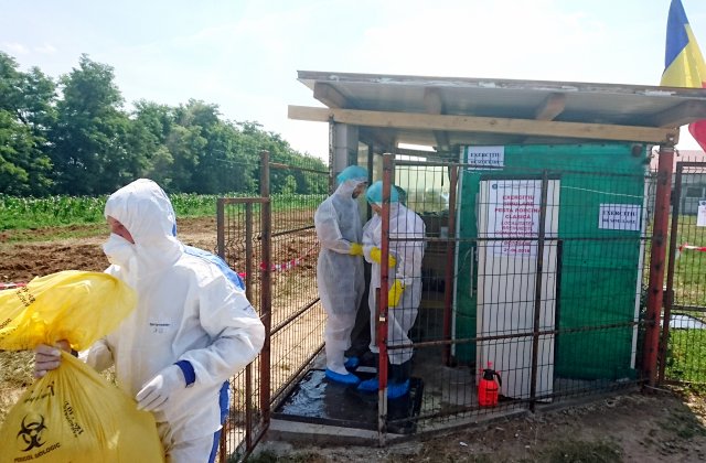 Focar de pestă porcină într-o localitate din Sibiu. Animalele infectate au fost ucise