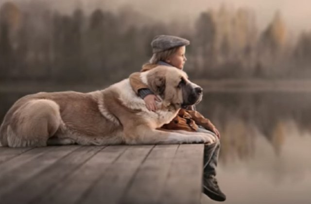 Cele mai importante lecții pe care adulții le pot învăța de la un copil