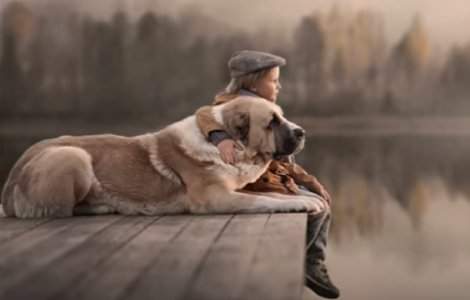  Top  Lecții pe care adulții le pot învăța de la un copil