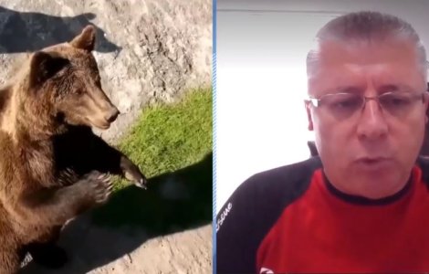 Cum ne apărăm de urși? Ne explică Prof. Sabin Cornoiu, Președinte Salvamond România