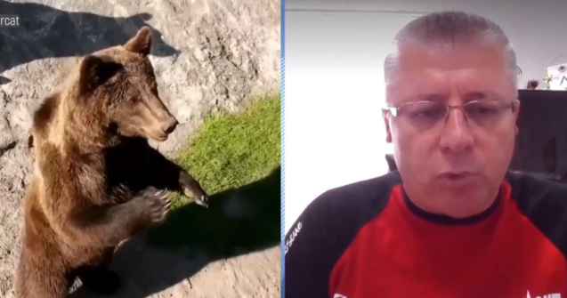 Cum ne apărăm de urși? Ne explică Prof. Sabin Cornoiu, Președinte Salvamond România