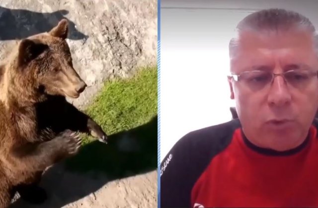 Cum ne apărăm de urși? Ne explică Prof. Sabin Cornoiu, Președinte Salvamond România