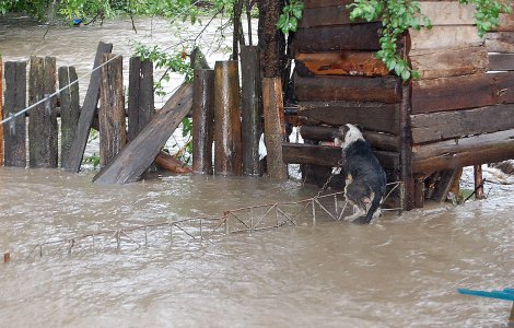 ANM: Vreme călduroasă și perioade cu averse locale, în următoarele două săptămâni