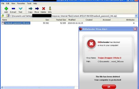 Atentie: Parola de Facebook vine cu un troian!