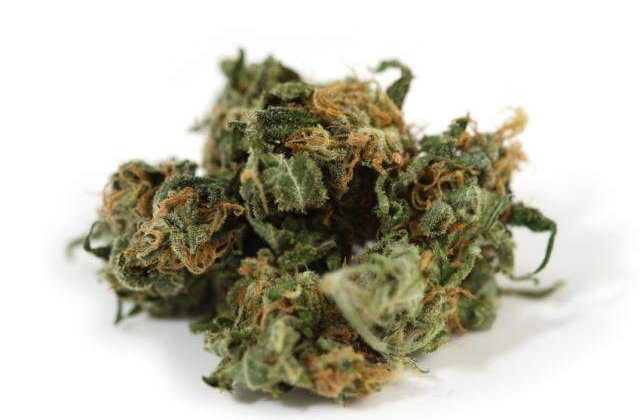 Seminte de cannabis, de vanzare pe internet