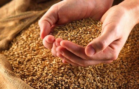 Romania a exportat de doua ori mai mult grau decat in 2012