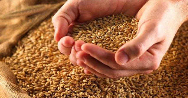 Romania a exportat de doua ori mai mult grau decat in 2012